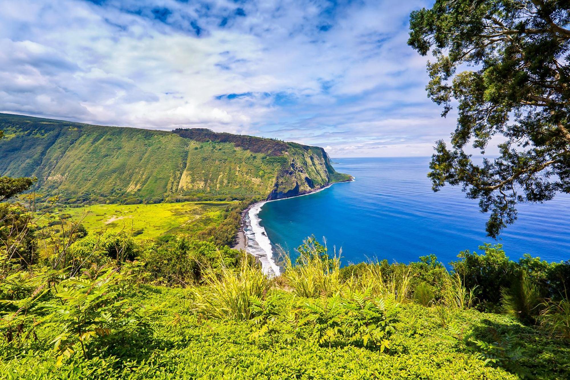 Kona Bali Kai #152 Daire Kailua-Kona Dış mekan fotoğraf