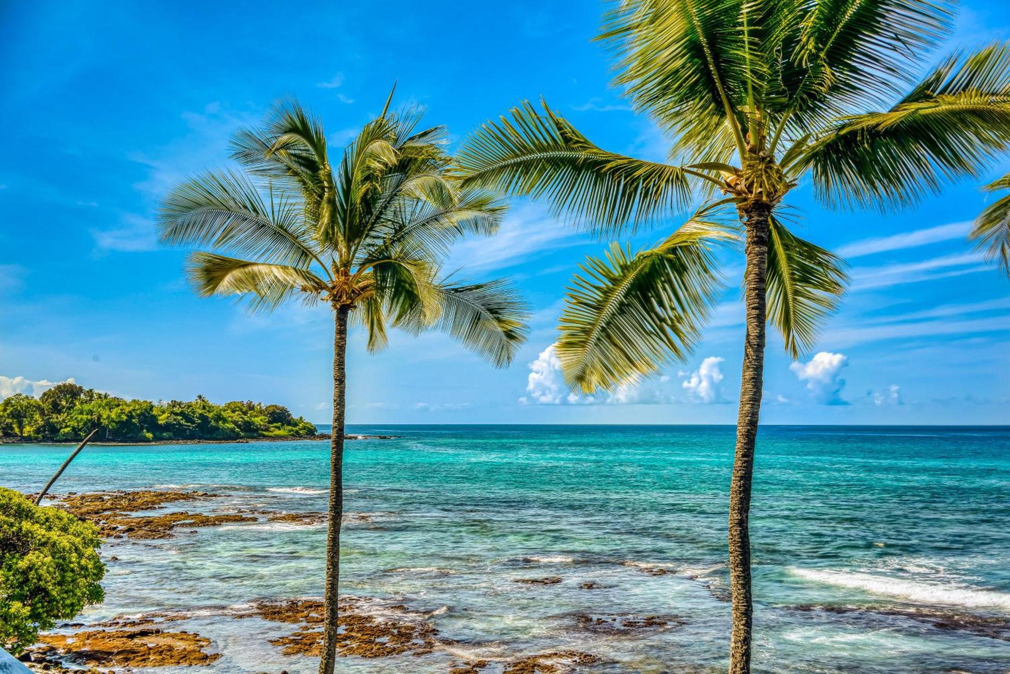 Kona Bali Kai #152 Daire Kailua-Kona Dış mekan fotoğraf